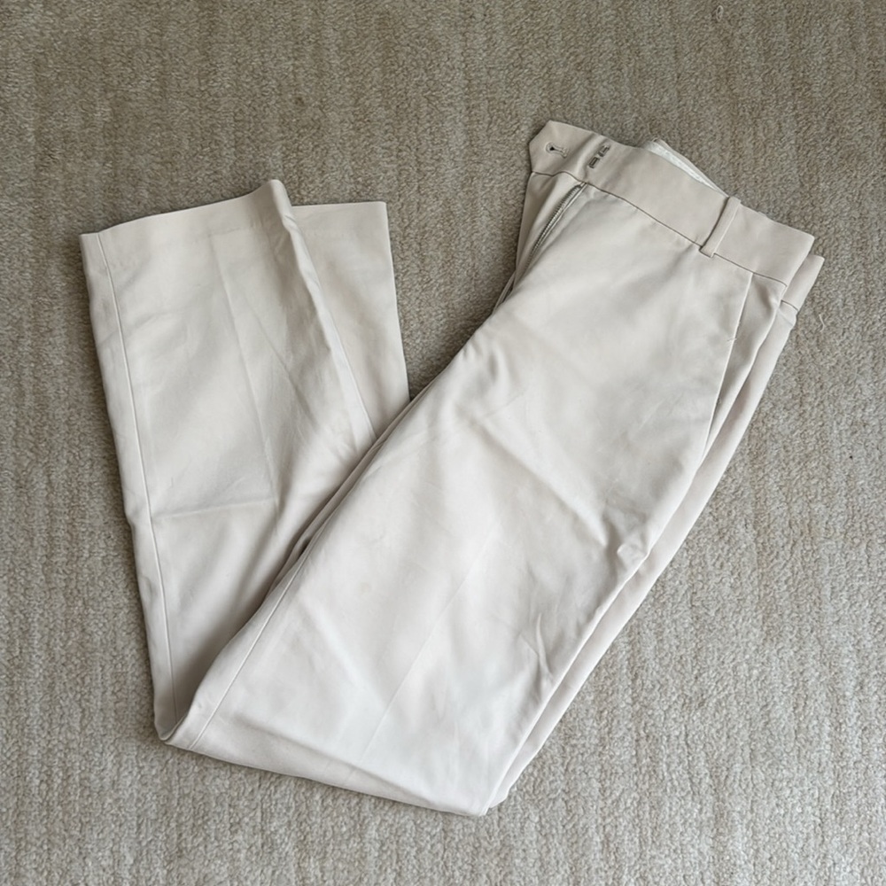 Aritzia Babaton trousers
